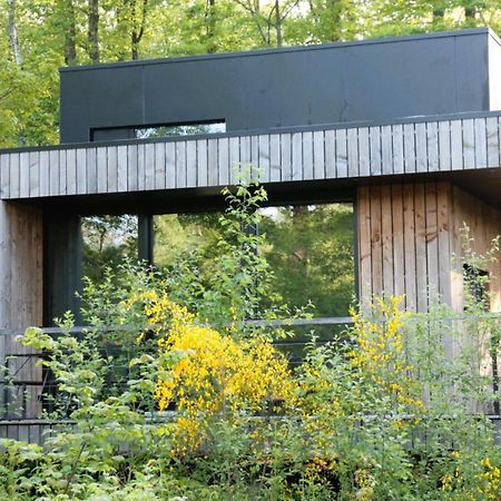 Forest Cube Oignies Luaran gambar
