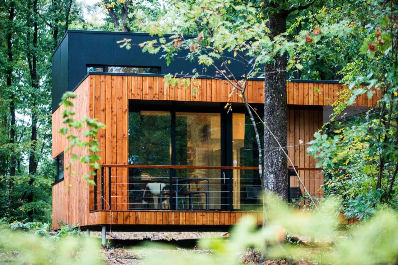 Forest Cube Oignies Luaran gambar