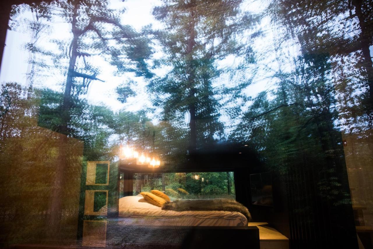 Forest Cube Oignies Luaran gambar