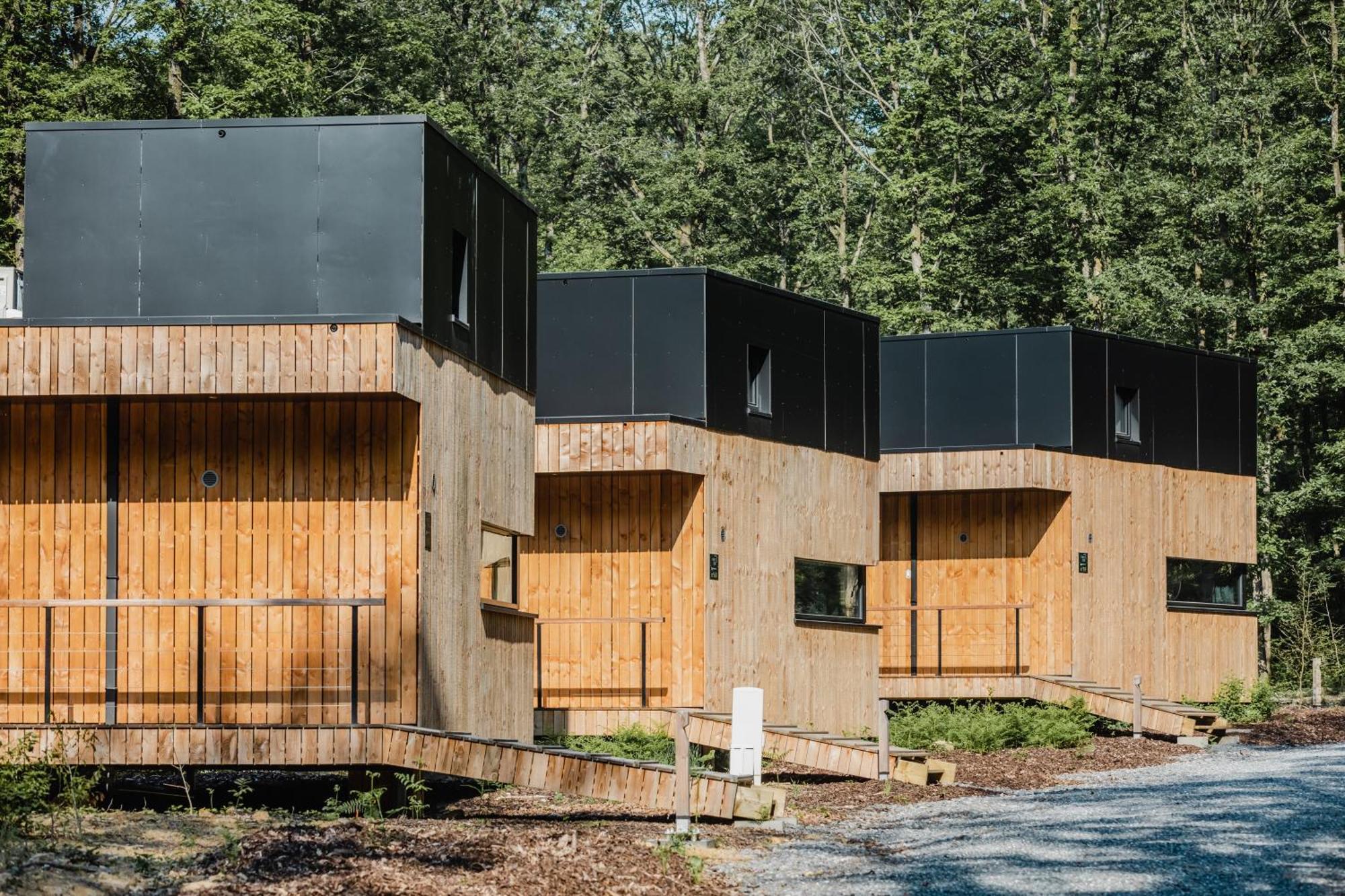 Forest Cube Oignies Luaran gambar